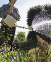 Woman watering a garden