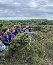 Un grupo de personas contemplando el paisaje durante una excursión por New Forest