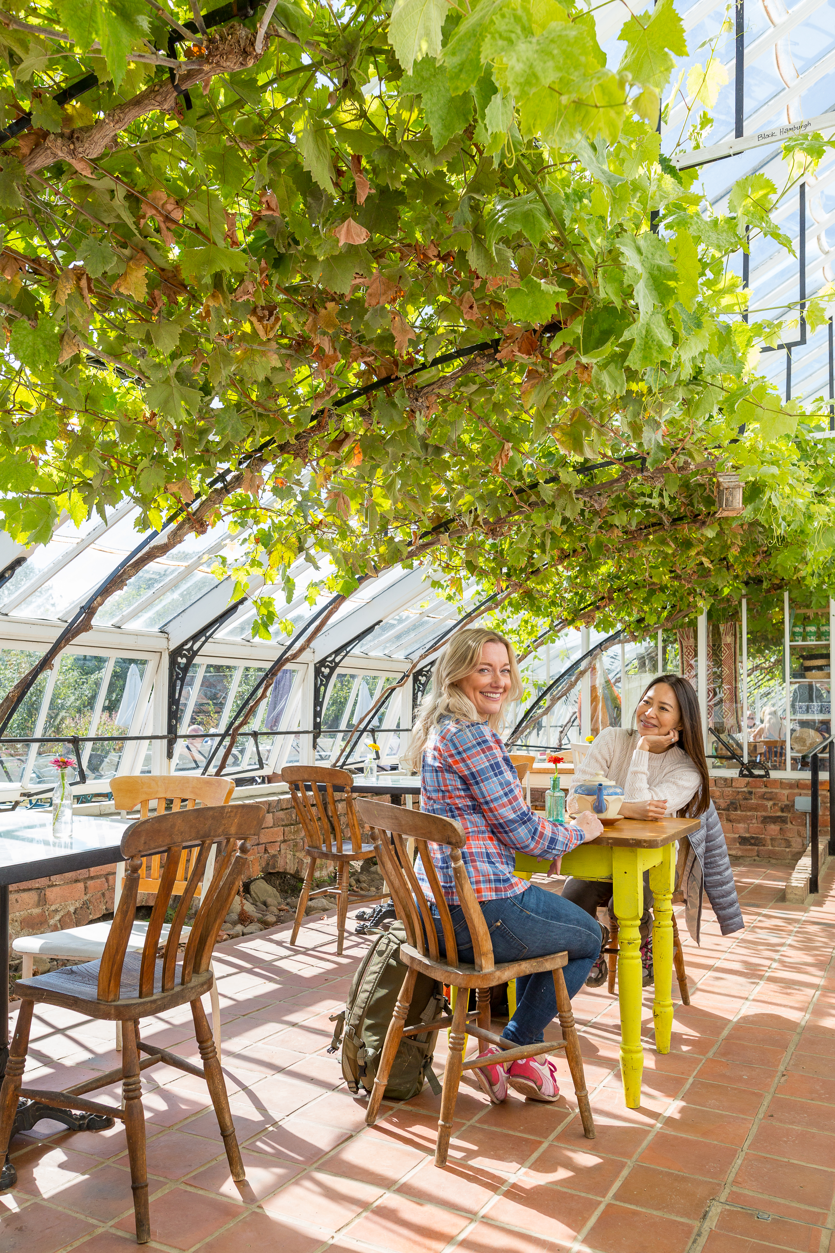 Two female friends having a drink in a glasshouse with a vine overhead.
