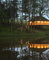 Vue sur le lac au crépuscule vers la cabane dans les arbres à Treeopia, éclairée de l'intérieur et entourée d'arbres.