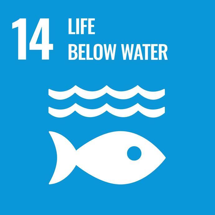 UN SDG 14 life below water