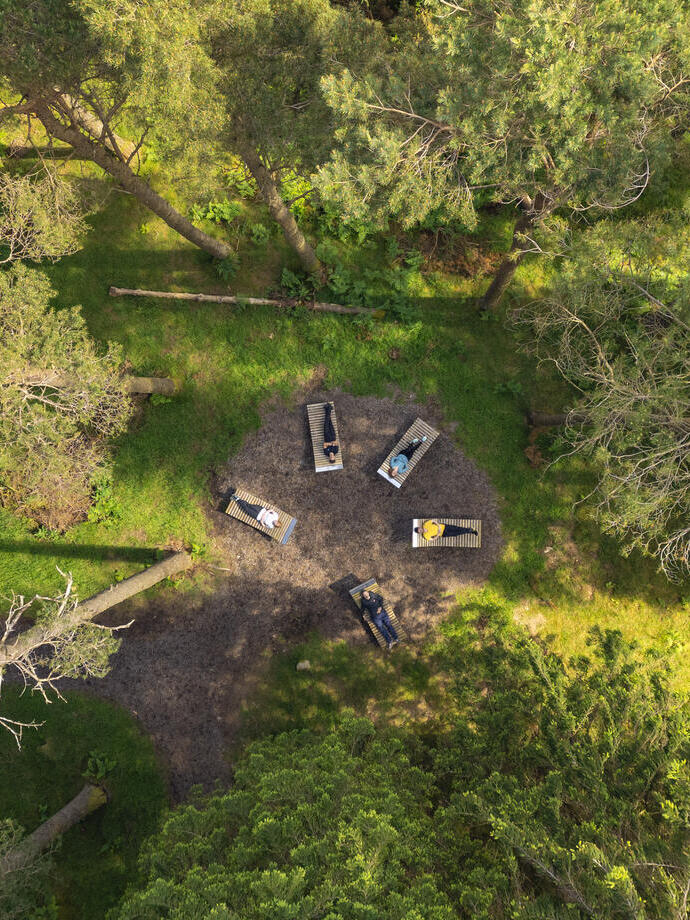 5 people lay on mats in a forest