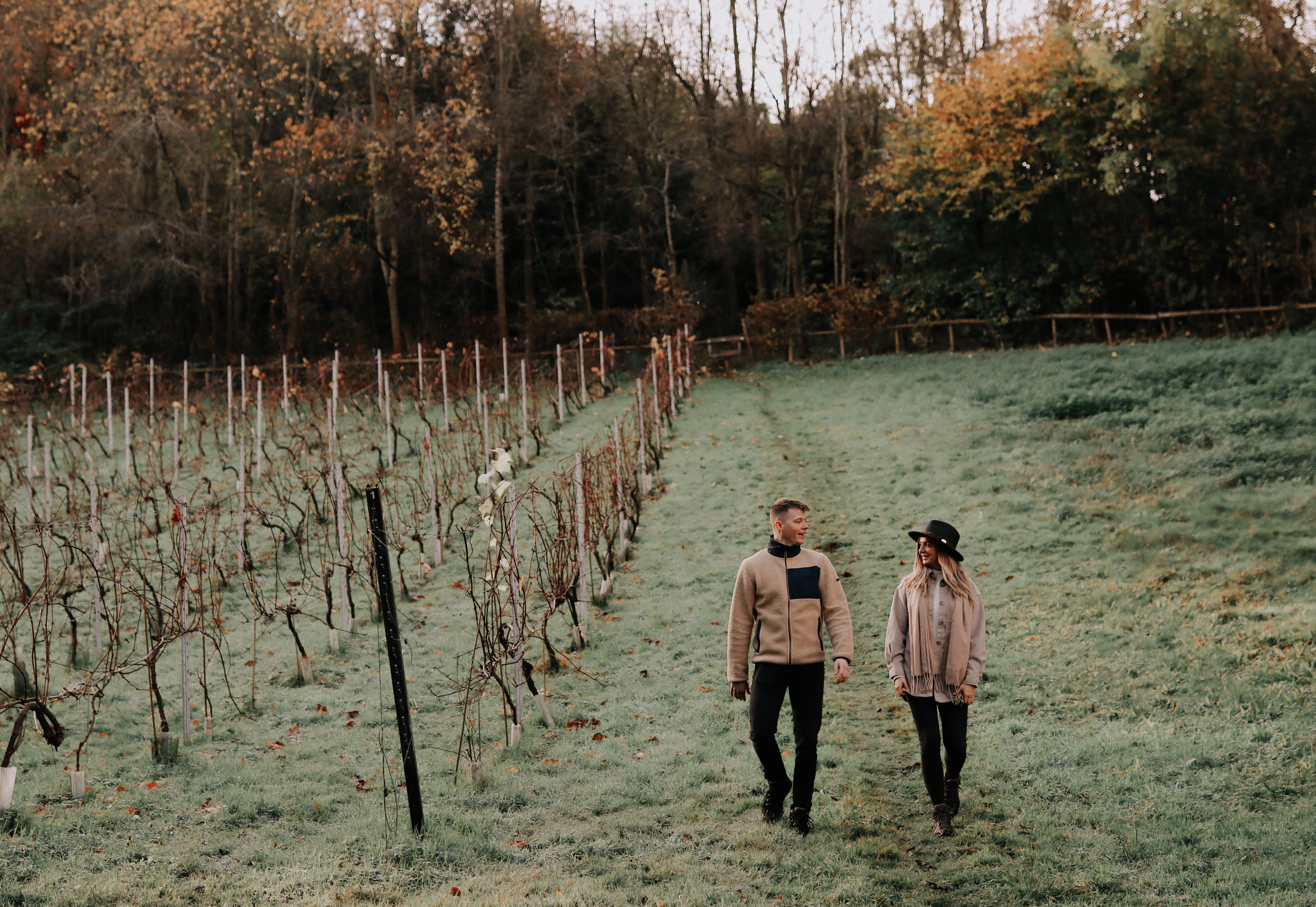 A man and woman walking in a vineyard