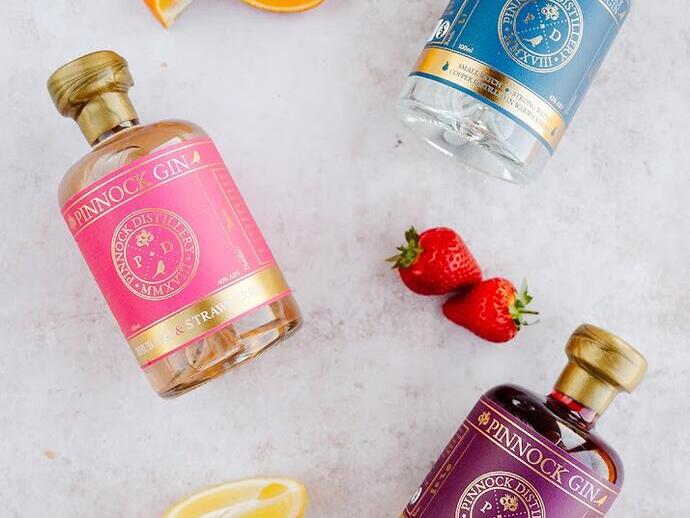 Tre bottiglie di gin con etichette colorate appoggiate su un lato con frutta