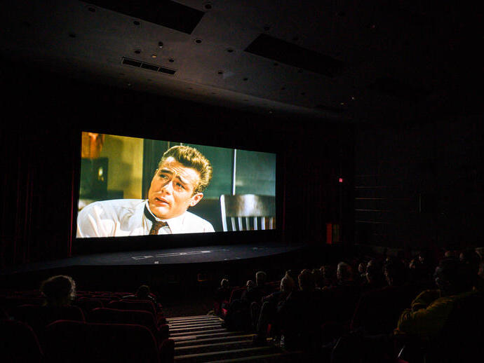 People watching a film in a cinema