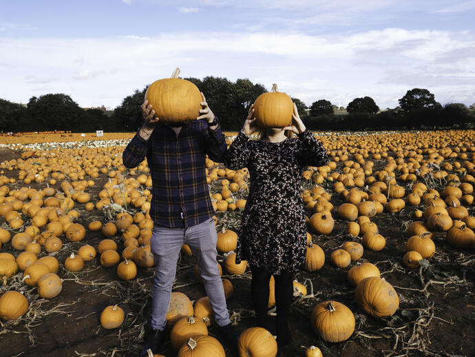 Two people stand in a pumpkin patch, each holding a pumpkin over their head, surrounded by pumpkins and an open field.