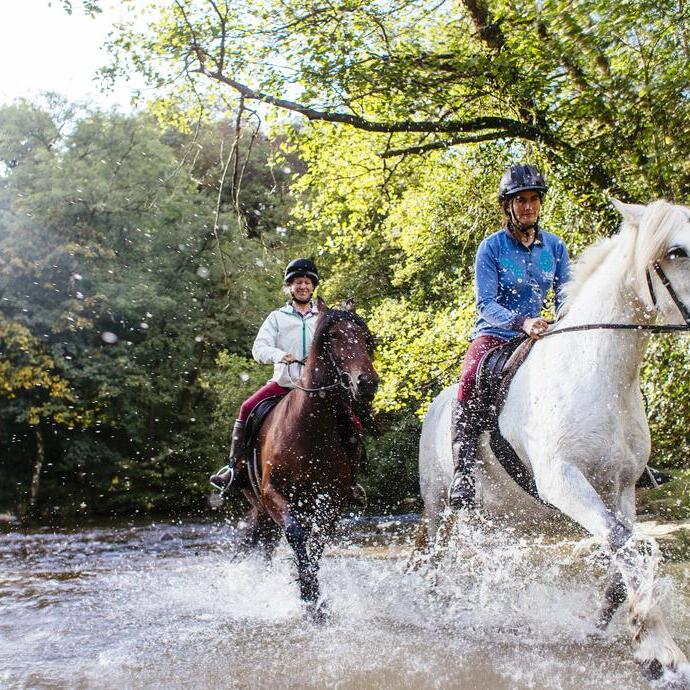 Caballos y jinetes trotando por aguas poco profundas.