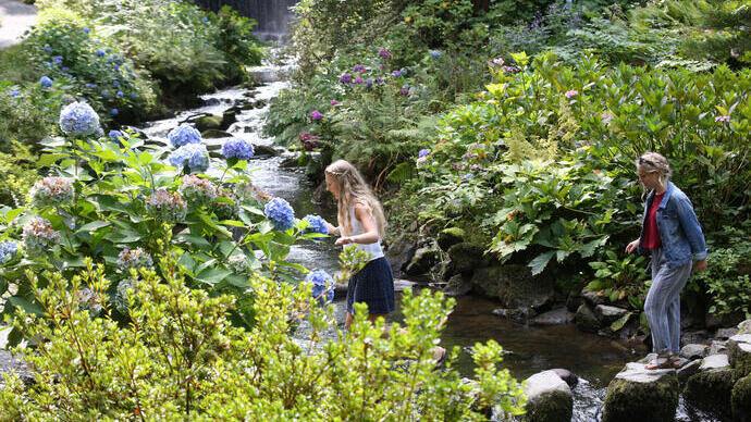 Friends crossing a stream in a floral garden.