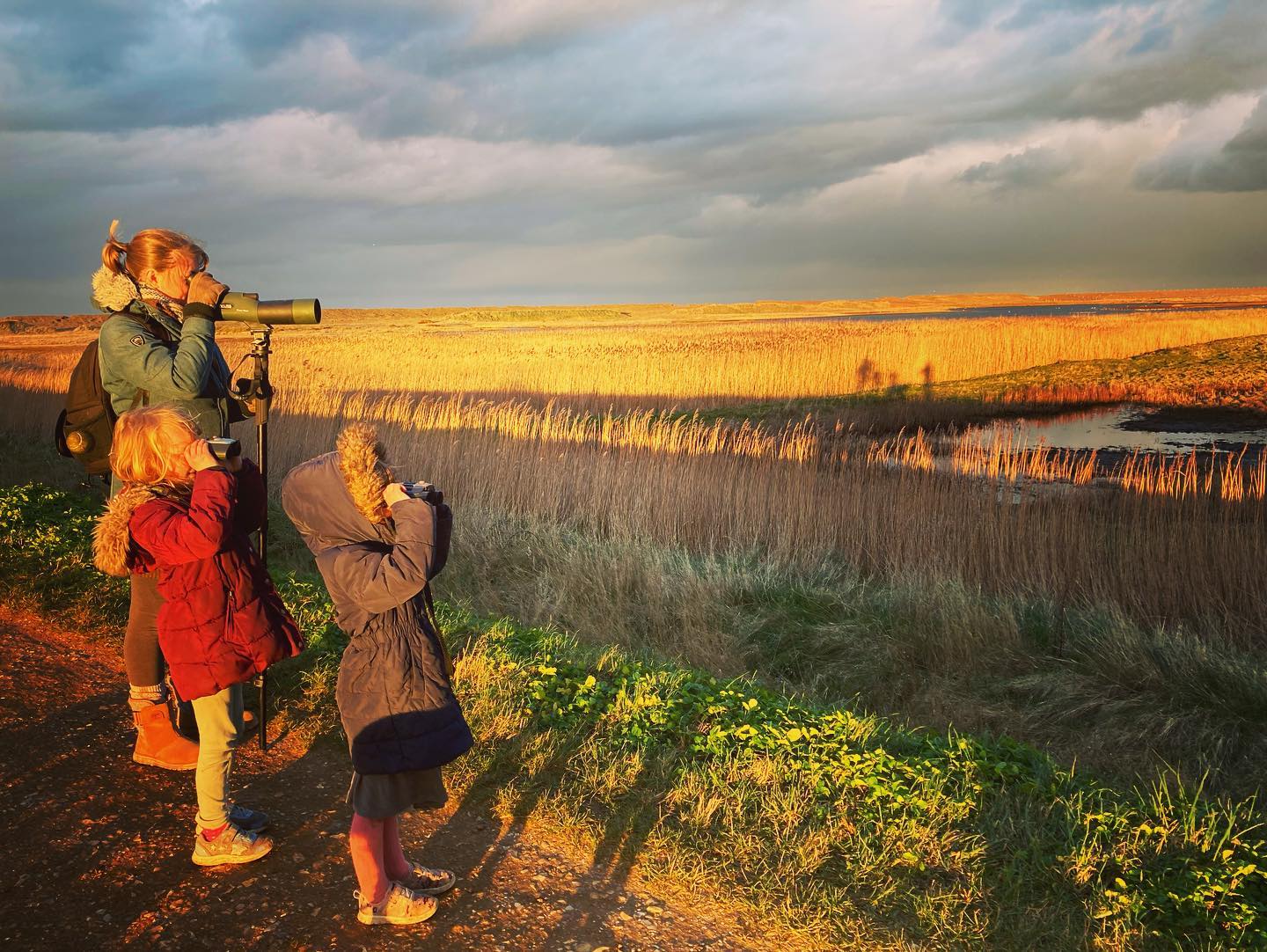 Bird watching at Salthouse marshes