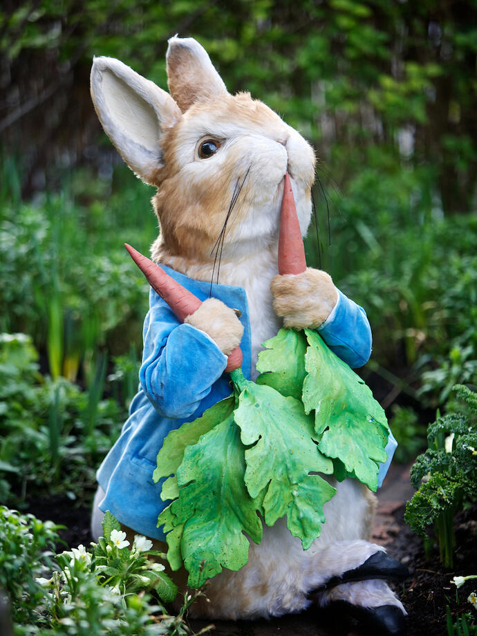 Modello di Peter Rabbit che mangia una carota