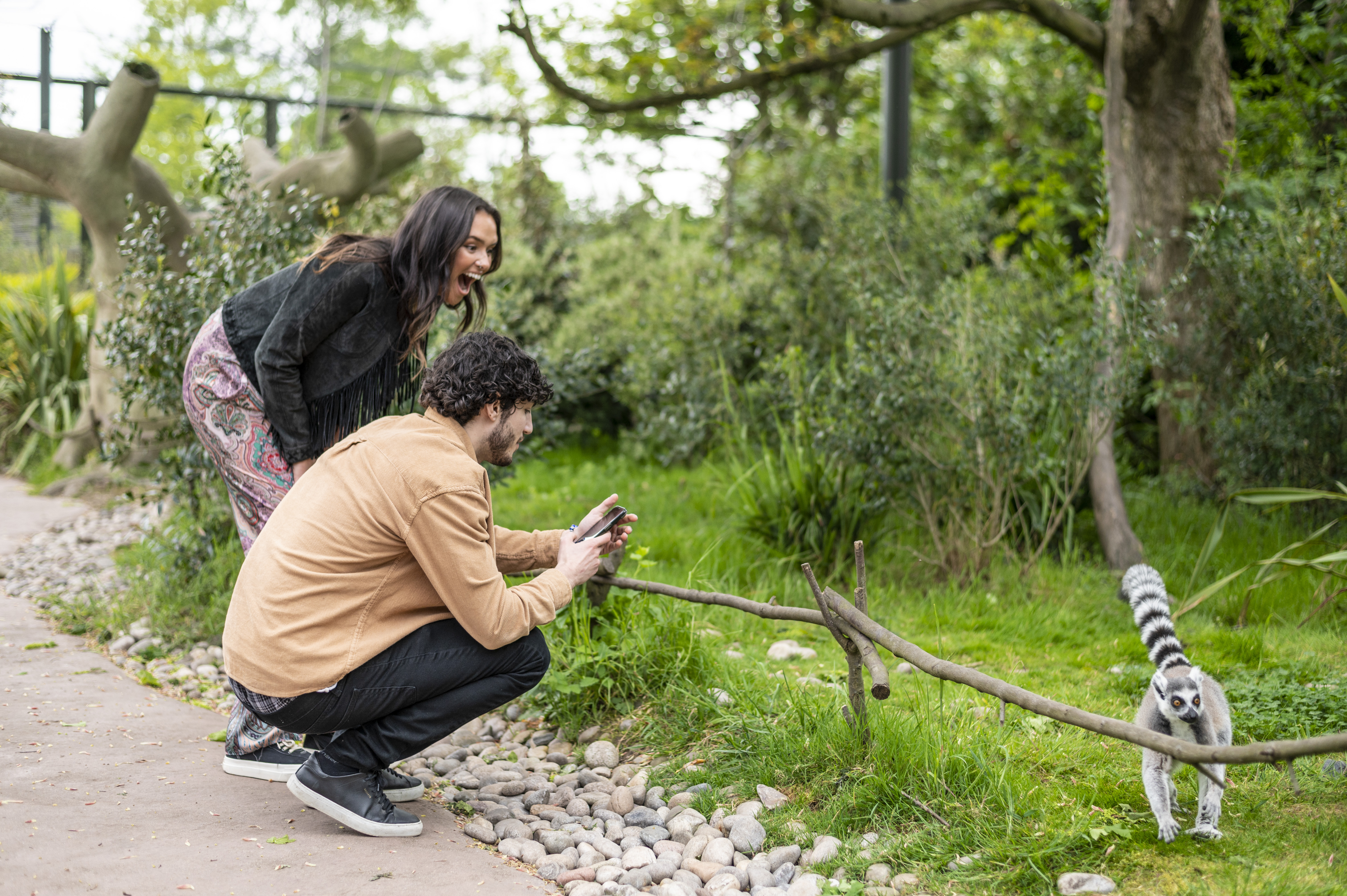 A woman and a man watch a lemur with delight in a zoo
