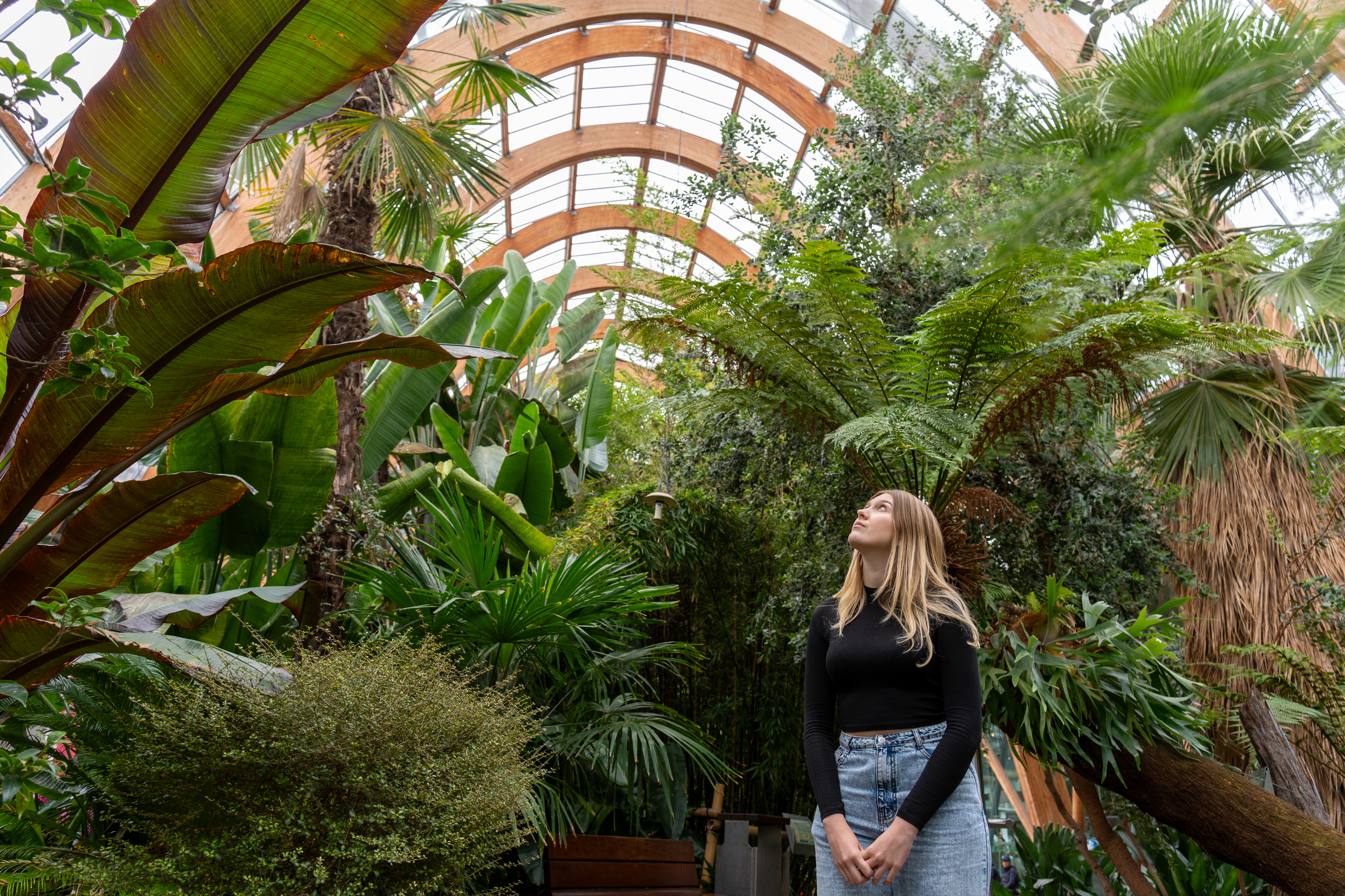A woman walking past plants in a large temperate glasshouse