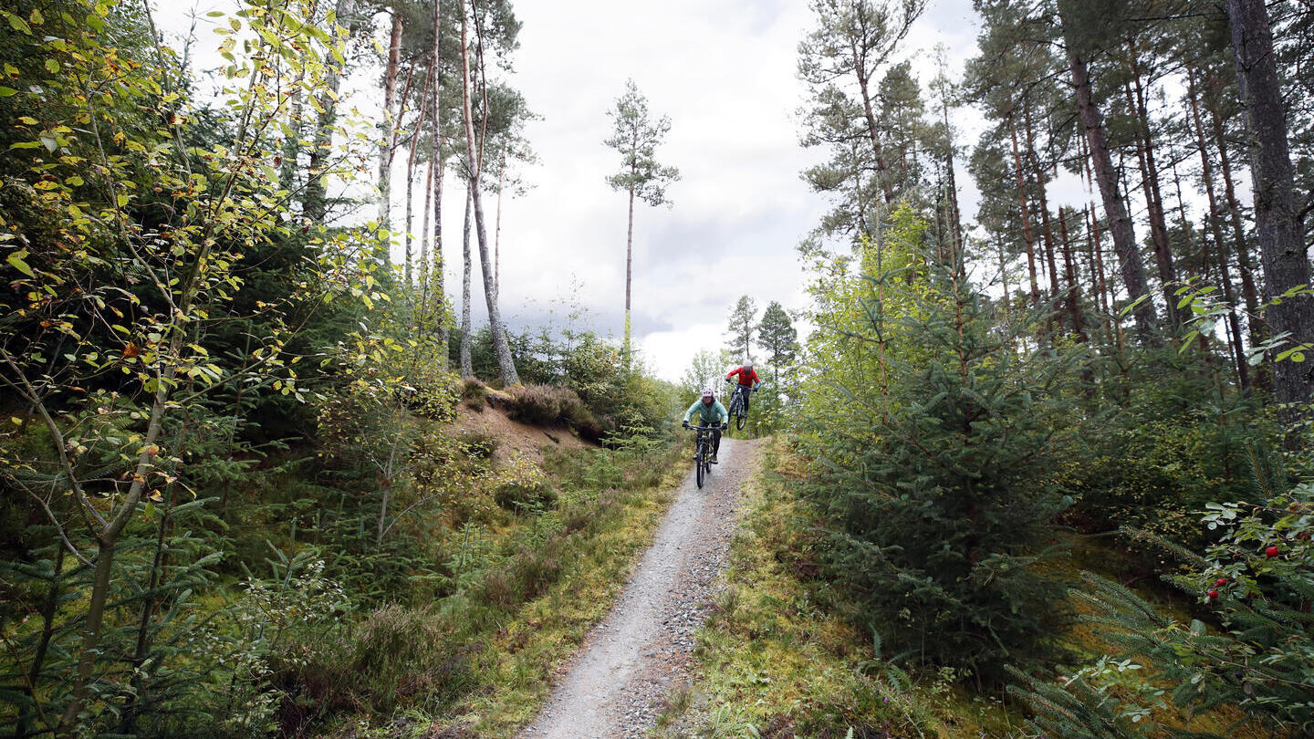 A male and female mountain biker cycling along a forest bike trail