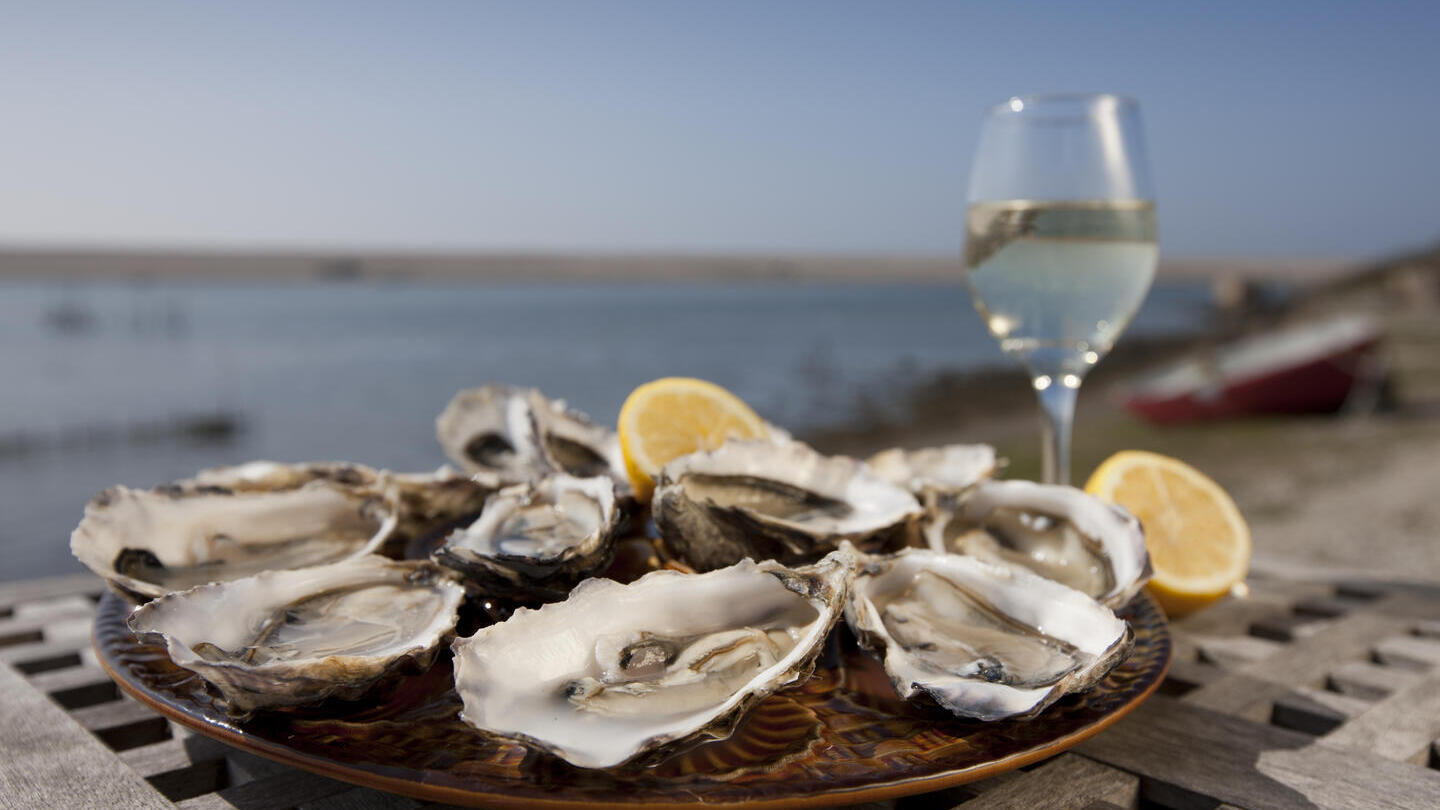 Assiette d'huîtres et verre de vin sur une table en bois au bord de la mer