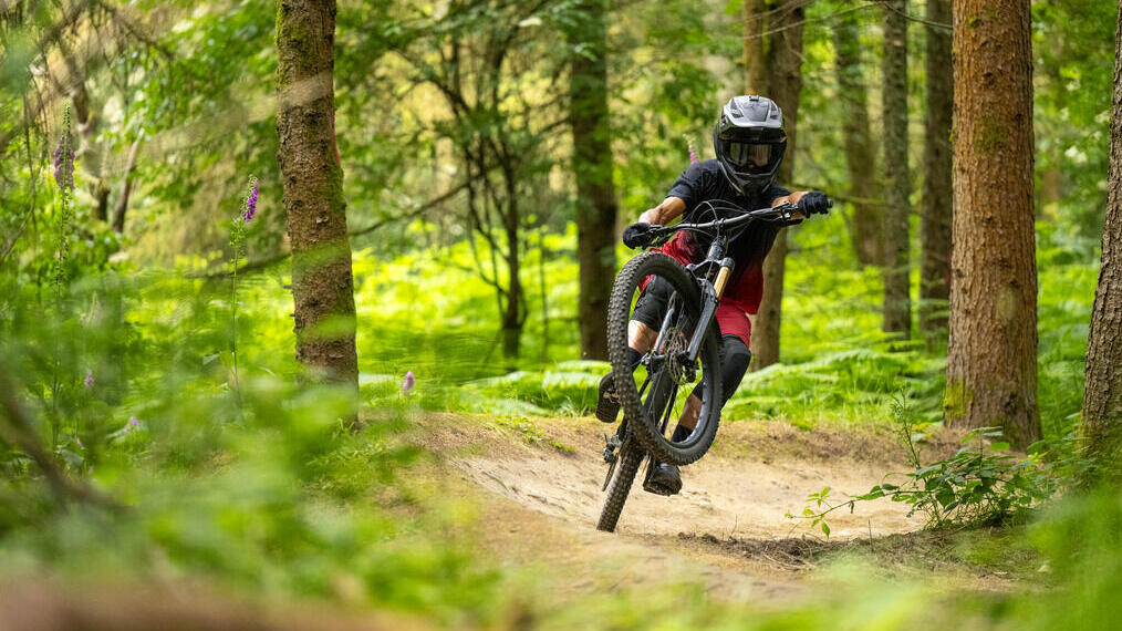 A cyclist riding through trees along a purpose built adventure cycle path in a large forest.