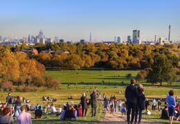 Primrose Hill