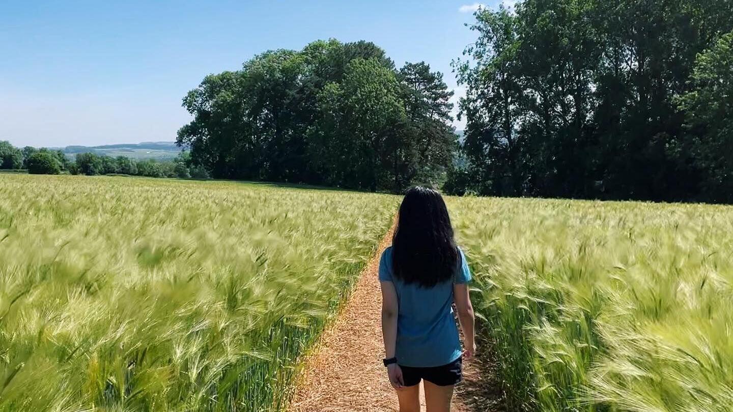 The Cotswold Way Walking Trail