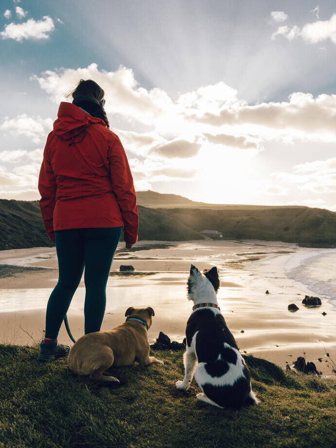 Une femme et deux chiens contemplant une plage de sable et l'océan.