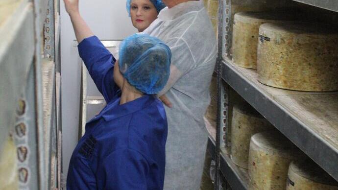 Menschen, die sich Cheddar-Käse auf einem Regal ansehen