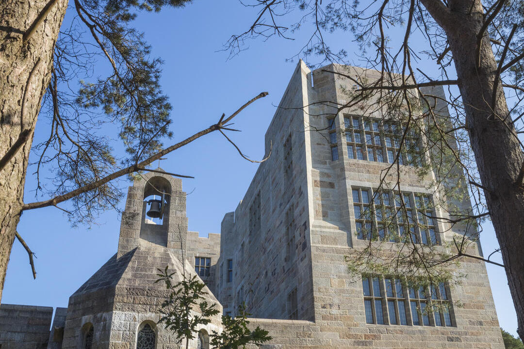 Exterior of Castle Drogo, looking up through the fir trees