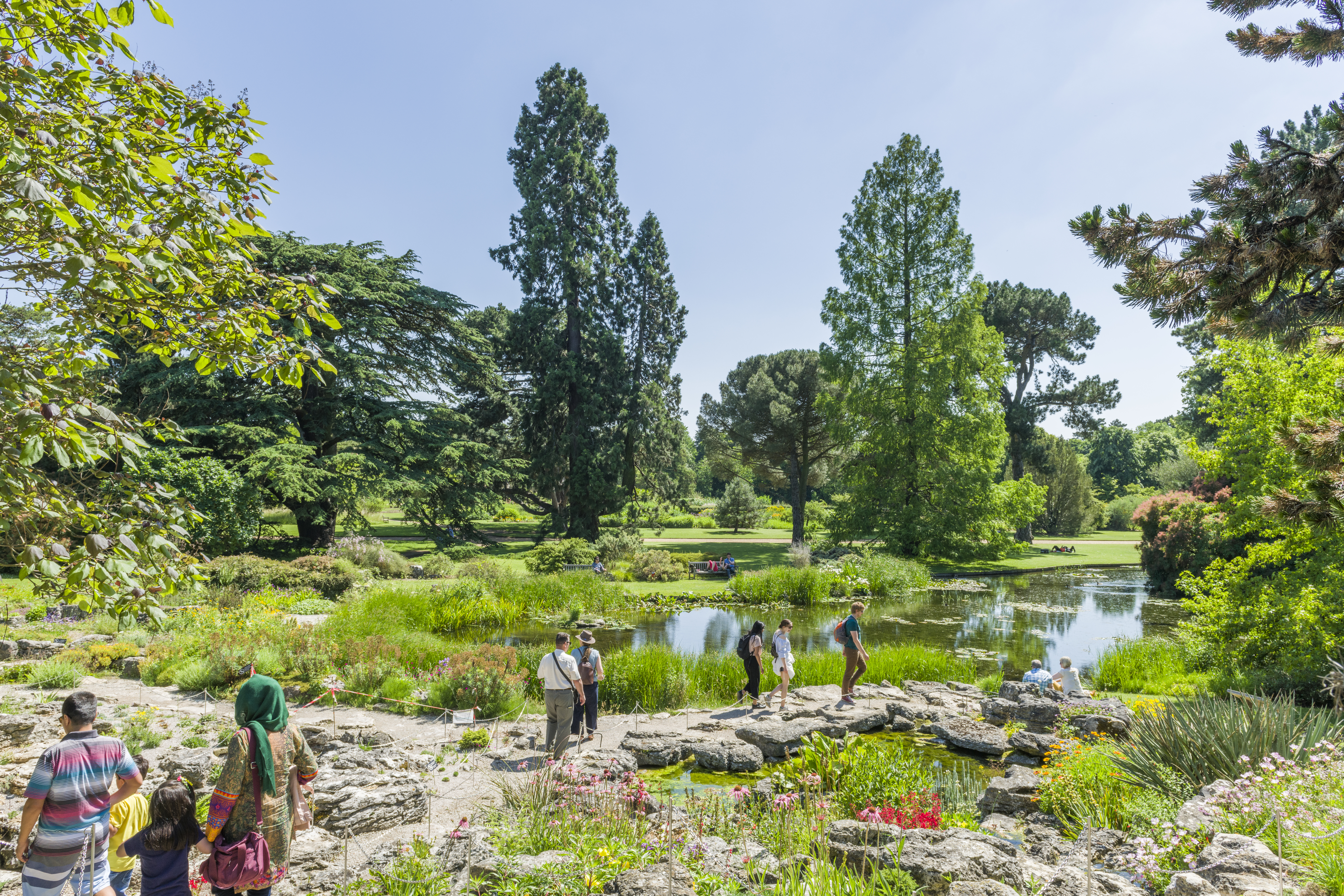 People walking and relaxing by a pond in a lush botanical garden, surrounded by colorful flowers and tall green trees on a sunny day.