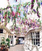 Man walking through arch covered in flowers at Lion Walk, Colchester