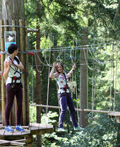 A group of people on high wires at Go Ape in Thetford Forest