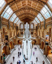 Vue depuis le balcon d'un musée sur un squelette de dinosaure flottant suspendu au plafond.