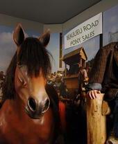 Un enfant regardant une figurine de cheval au New Forest Heritage Centre