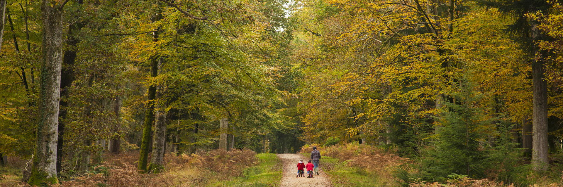 Mutter und Kinder spazieren im Frühherbst auf einem Waldweg
