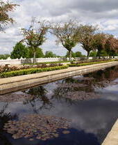 Reflection pool with cemetery visible in the background
