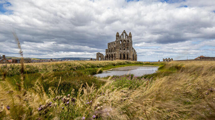 Vue de l'abbaye de Whitby depuis les champs voisins
