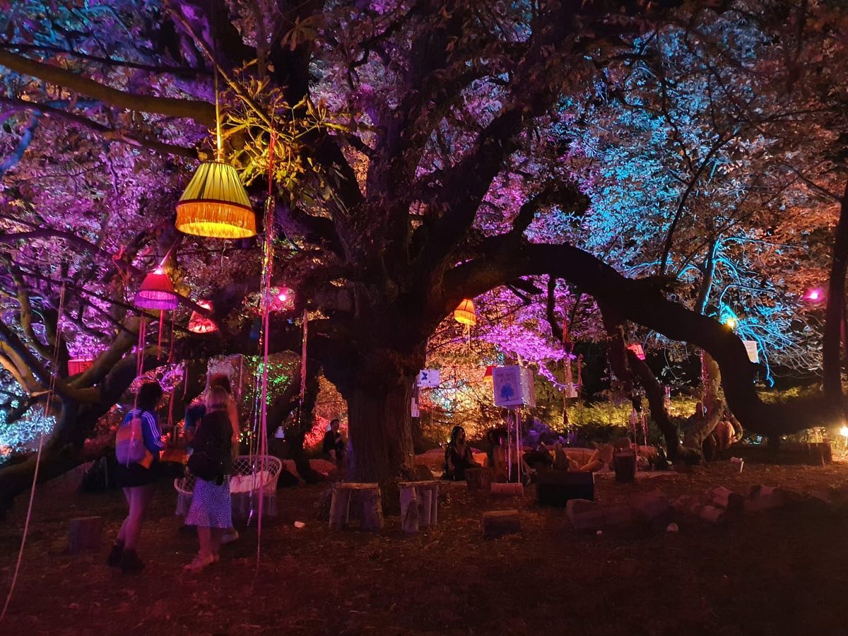 People standing under tree at night lit up by lanterns