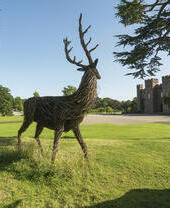 A wooden sculpture of a deer outside a castle.