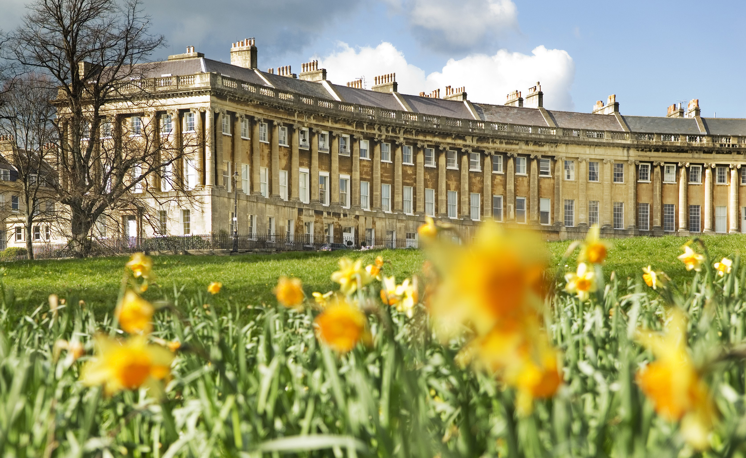 External view of regency style building of the Royal Crescent, Bath through a field of blurred out daffodils in the foreground,