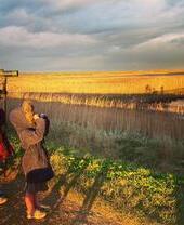 Observation des oiseaux dans les marais de Salthouse
