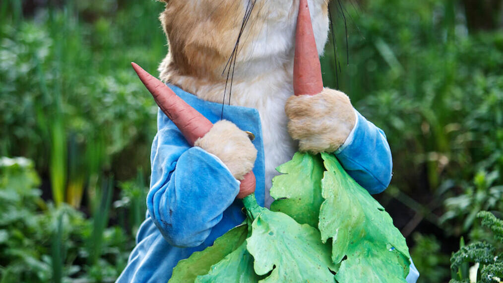 Modello di Peter Rabbit che mangia una carota