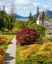 Spring flowers and trees in the Attadale Gardens