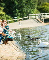 A family feeding birds by a pond at Rufford Abbey Country Park