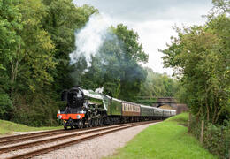 Bluebell Railway