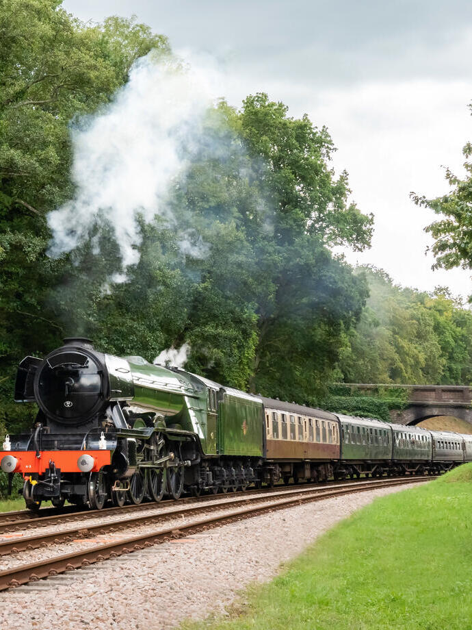 A steam train locomotive travelling through the countryside.