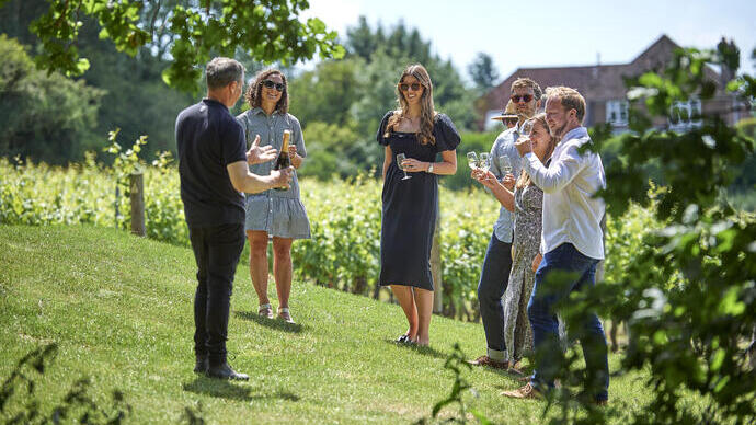 Group enjoying a wine tasting or tour in a sunny vineyard with green vines, trees, and a building visible in the background.