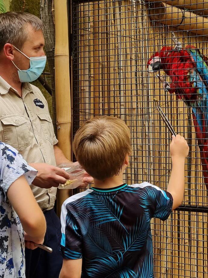 Un homme et des enfants nourrissant un perroquet dans une cage