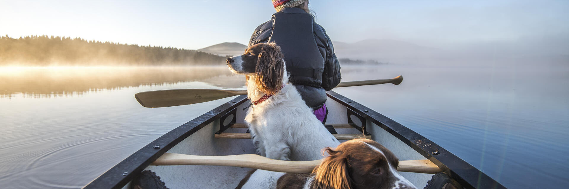 Mujer en una barca de remos con dos perros en un lago