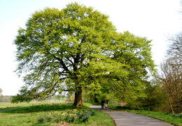 Muiravonside Country Park