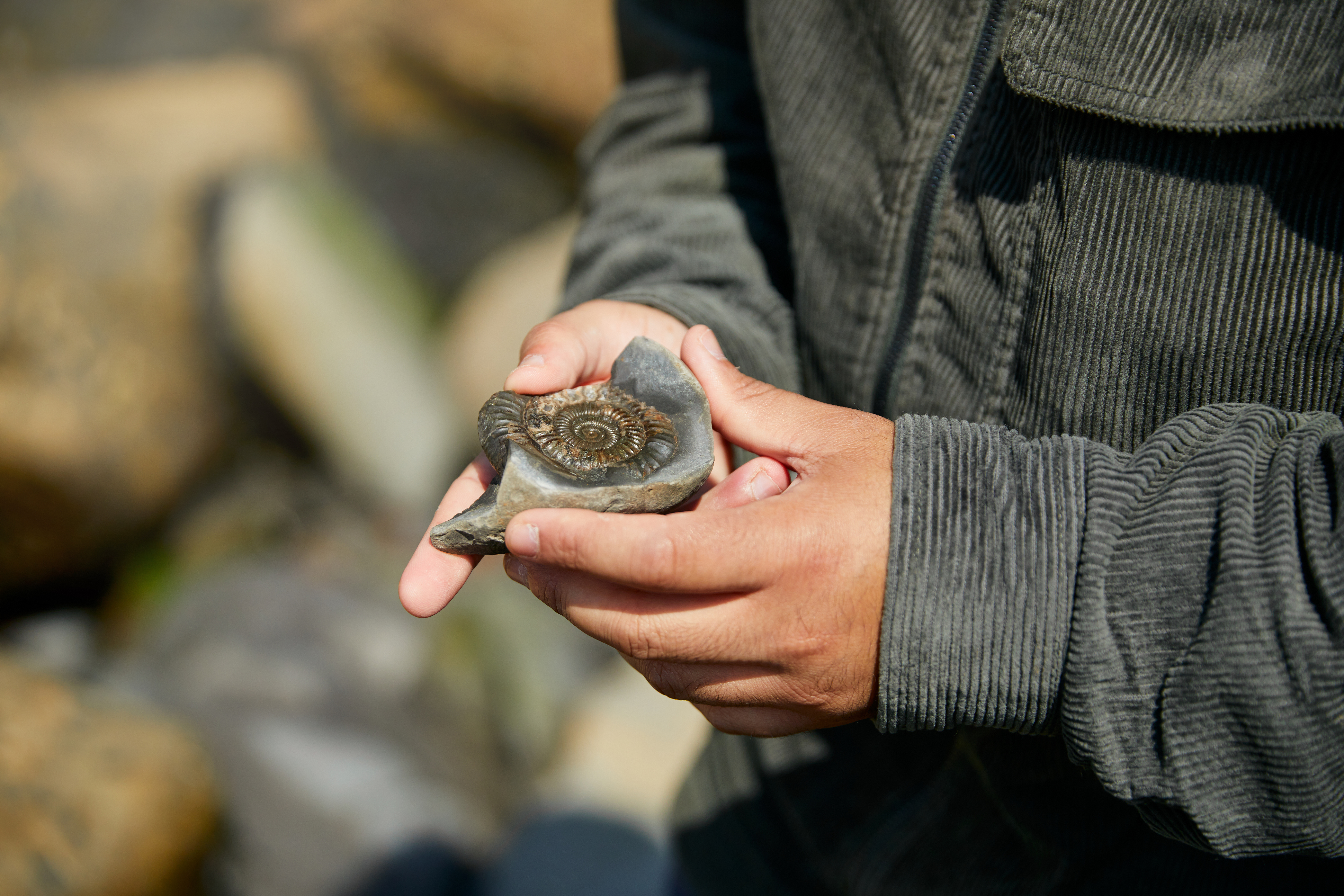 North York Moors coast