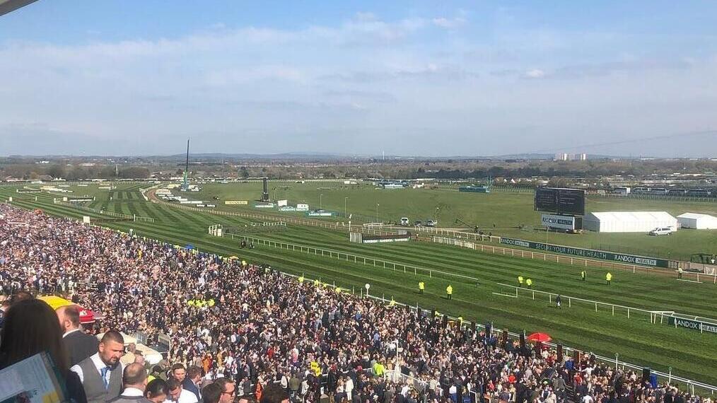 Audience sitting in stand watching a Grand National race