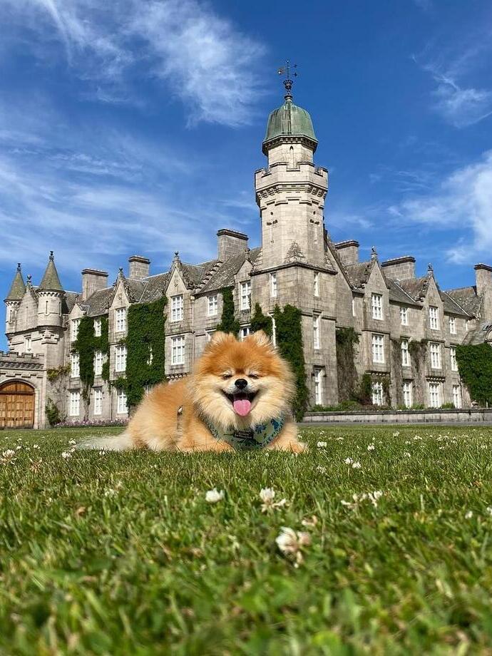 Balmoral Castle and Estate