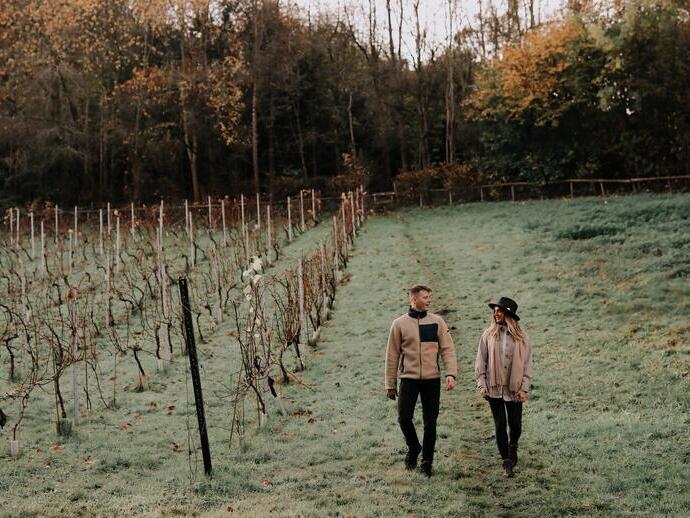 A man and woman walking in a vineyard