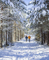 Dos personas caminando por la nieve en Glenmore Forest Park